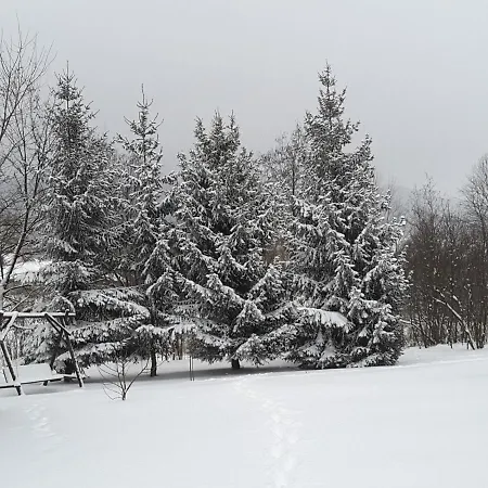 Inn Joniec Malgorzata *
