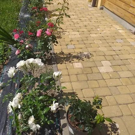 Joniec Malgorzata Inn Dobra (Limanowa)