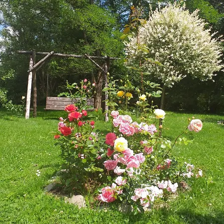 Inn Joniec Malgorzata